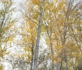 intimate-landscape-AG6I0569