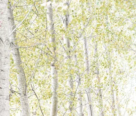 intimate-landscape-AG6I0980