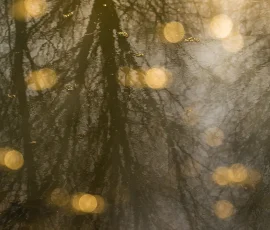 intimate-landscape-AG6I1049