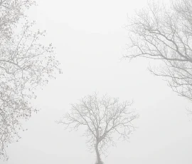 intimate-landscape-AG6I2681
