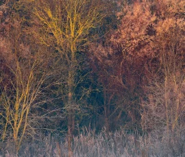 intimate-landscape-AG6I4189
