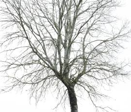 intimate-landscape-AG6I4445