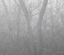 intimate-landscape-AG6I4788-2