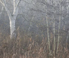 intimate-landscape-AG6I4808