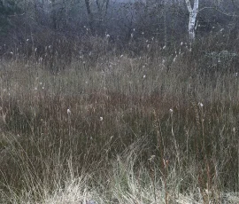 intimate-landscape-AG6I5718