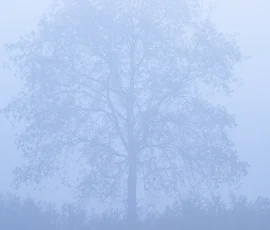 intimate-landscape-AG6I6821