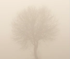 intimate-landscape-AG6I6909