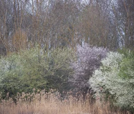 intimate-landscape-AG6I7244