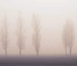 intimate-landscape-AG6I7379