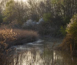 intimate-landscape-AG6I7563