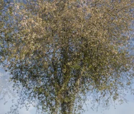 intimate-landscape-AG6I7585