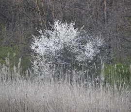 intimate-landscape-AG6I7609