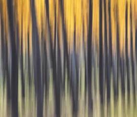 intimate-landscape-AG6I7775