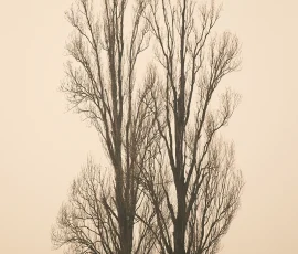 intimate-landscape-AG6I8898