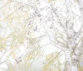 intimate-landscape-AG6I9666