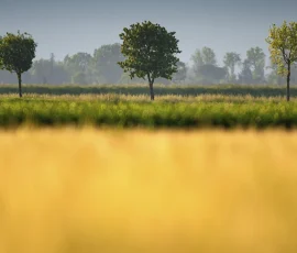 intimate-landscape-DSC 0076