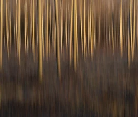 intimate-landscape-DSC 4127