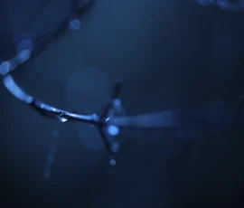 intimate-landscape-DSC 5626