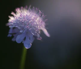 intimate-landscape-DSC 5826
