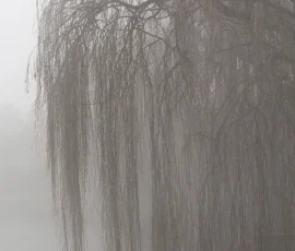 intimate-landscape-IMG 0650