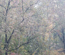 intimate-landscape-IMG 1081