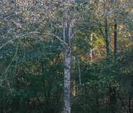 intimate-landscape-IMG 1845