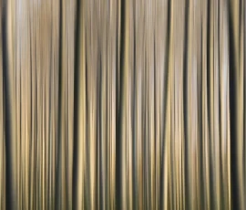 woodland-photography-AG6I4944