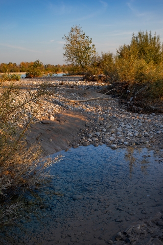 Il fiume Tagliamento - AG6I0430