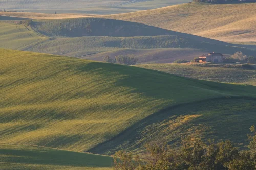 Val d'Orcia - Toscana - AG6I1957