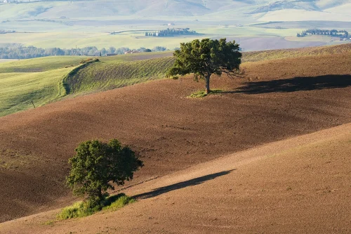 Val d'Orcia - Toscana - AG6I2061
